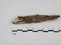 登錄號:F0024766藏品圖，第1張