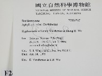 登錄號:F0024767藏品圖，第2張