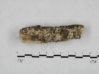 登錄號:F0024768藏品圖，第1張