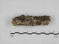 登錄號:F0024768藏品圖，第3張