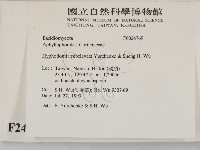 登錄號:F0024769藏品圖，第2張