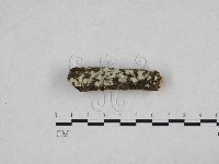 登錄號:F0024769藏品圖，第1張