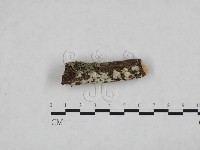 登錄號:F0024769藏品圖，第3張