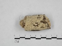 登錄號:F0024770藏品圖，第1張