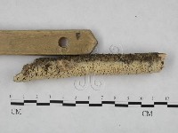 登錄號:F0024771藏品圖，第3張