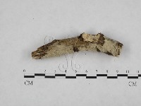 登錄號:F0024772藏品圖，第1張