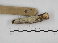 登錄號:F0024772藏品圖，第3張