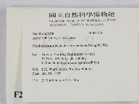 登錄號:F0024773藏品圖，第2張