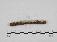 登錄號:F0024773藏品圖，第1張