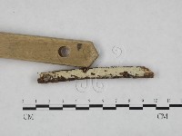 登錄號:F0024773藏品圖，第3張