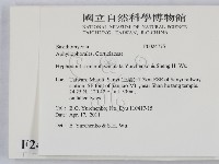 登錄號:F0024775藏品圖，第2張