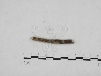 登錄號:F0024775藏品圖，第3張