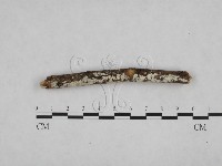 登錄號:F0024776藏品圖，第1張