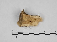 登錄號:F0024778藏品圖，第1張