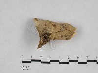 登錄號:F0024778藏品圖，第3張