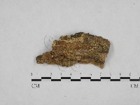 登錄號:F0024780藏品圖，第1張