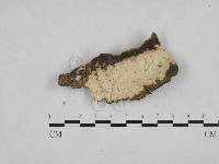 登錄號:F0024780藏品圖，第3張