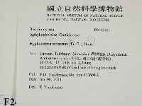 剛毛絲皮菌藏品圖，第2張