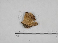 登錄號:F0024782藏品圖，第3張