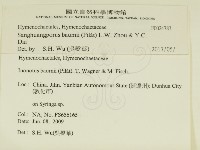 登錄號:F0024783藏品圖，第2張