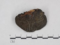 登錄號:F0024784藏品圖，第1張