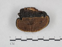 登錄號:F0024784藏品圖，第3張