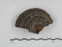 登錄號:F0024786藏品圖，第1張