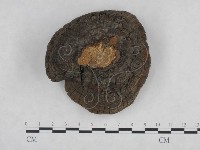 登錄號:F0024787藏品圖，第1張