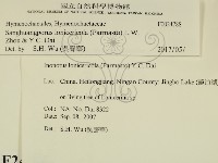 登錄號:F0024788藏品圖，第2張