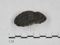 登錄號:F0024788藏品圖，第4張