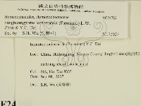 登錄號:F0024789藏品圖，第2張