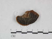 登錄號:F0024789藏品圖，第3張