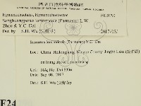 登錄號:F0024790藏品圖，第2張