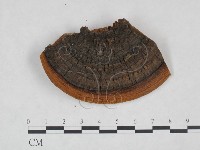 登錄號:F0024791藏品圖，第3張