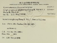 桑黃藏品圖，第2張