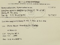 桑黃藏品圖，第2張