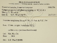 桑黃藏品圖，第2張