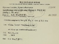 桑黃藏品圖，第2張