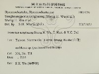 桑黃藏品圖，第2張
