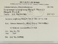 桑黃藏品圖，第2張