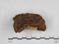 登錄號:F0024804藏品圖，第1張