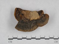 登錄號:F0024804藏品圖，第4張