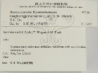 登錄號:F0024805藏品圖，第2張