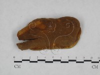 登錄號:F0024805藏品圖，第3張