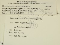 登錄號:F0024806藏品圖，第2張