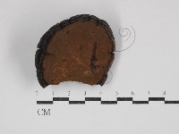 登錄號:F0024806藏品圖，第3張