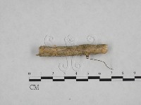登錄號:F0024808藏品圖，第1張