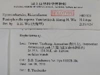 登錄號:F0024809藏品圖，第2張
