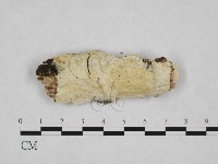 登錄號:F0024809藏品圖，第1張