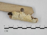 登錄號:F0024809藏品圖，第3張